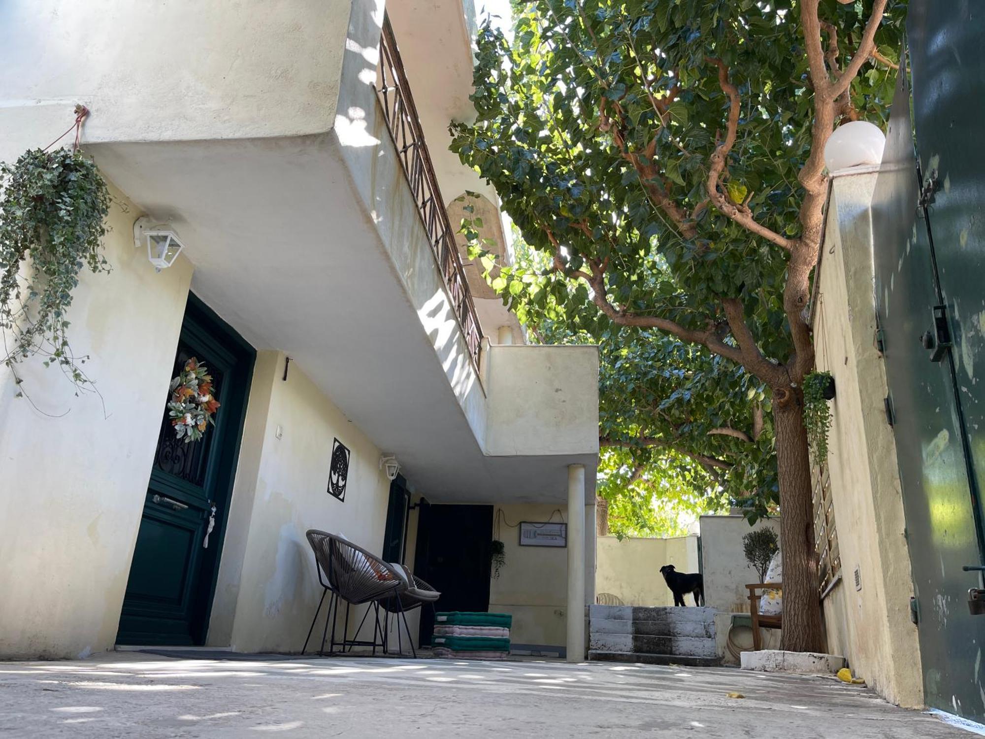 Airport Cottage House อาร์เตมีดา ภายนอก รูปภาพ